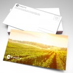 7x5" Mfinity Postcards - Pack of 72 - All 3 Designs